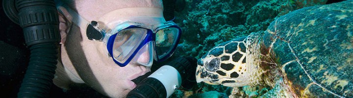 Trev-and-turtle_featureimage