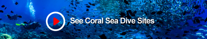 coral-sea-1