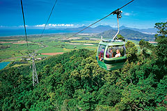 Skyrail Rainforest Cableway