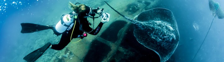 Yongala Wreck & Coral Sea Expedition