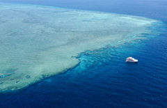 Ashmore Exploratory – Far Northern Reefs